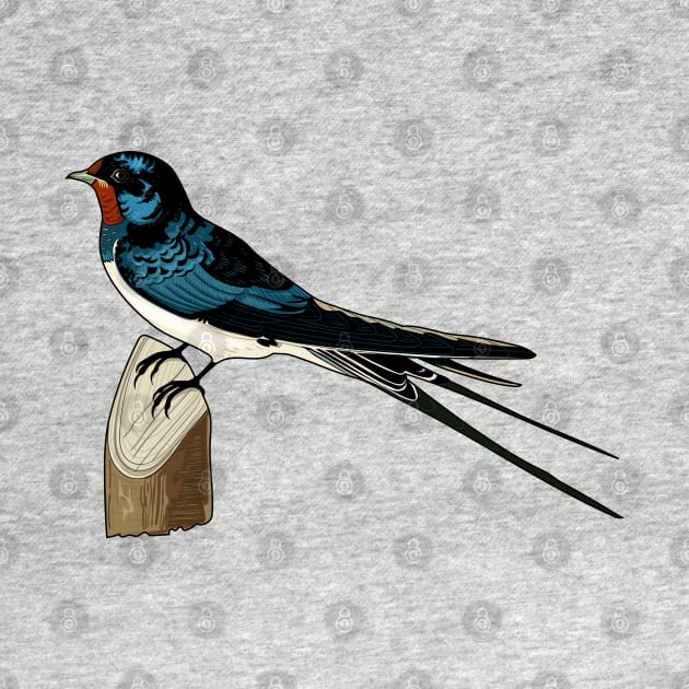 Barn Swallow by Frajtgorski